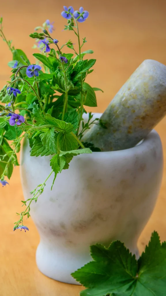 Health & wellness. Health an fitness, staywell247 wellness page
